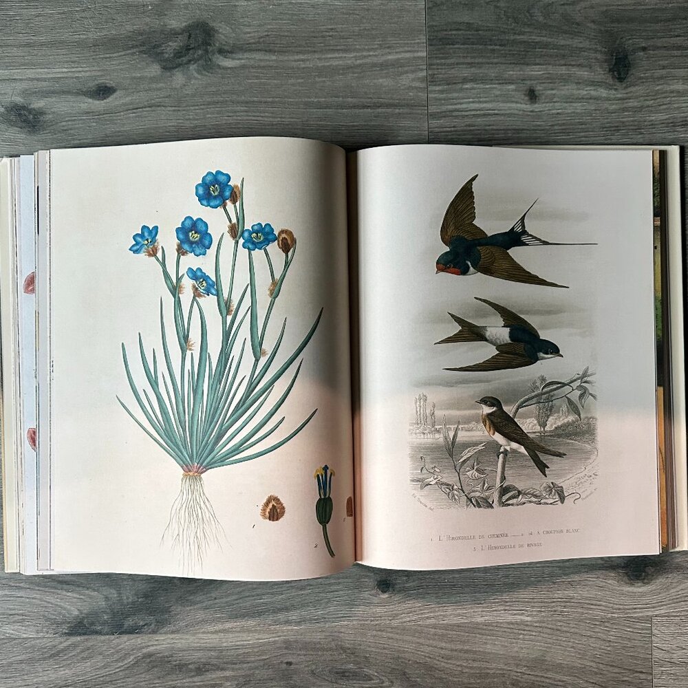 Eye Illustration Coffee Table Book - Beige and Brown Cover - Picture 4 of 7